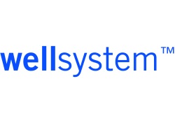 Logo WellSystem 300dpi